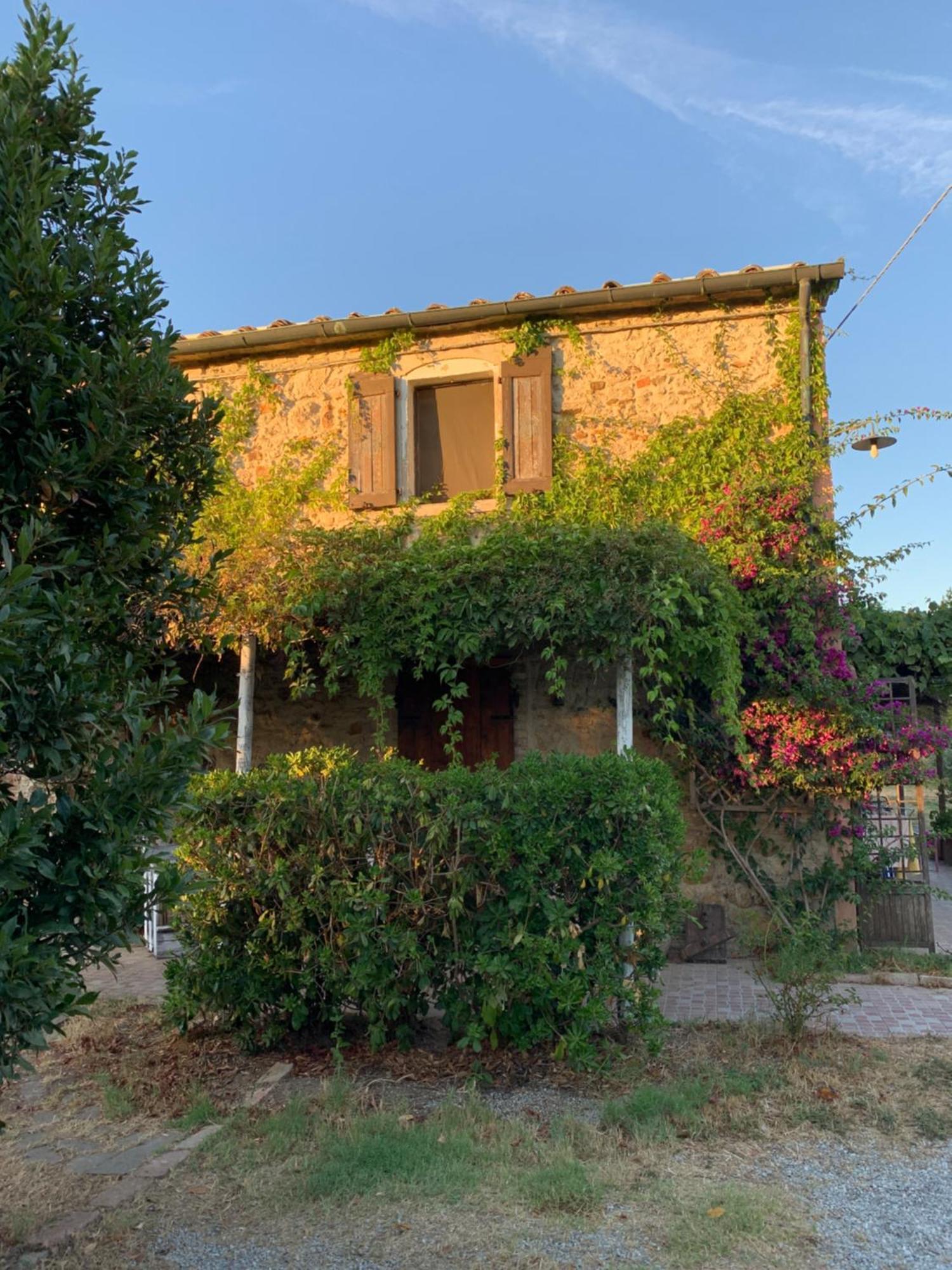 Podere Girasoli Piombino Dış mekan fotoğraf