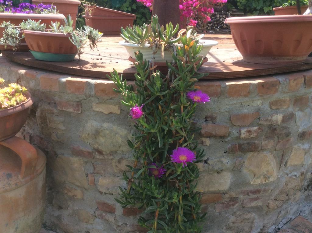 Podere Girasoli Piombino Dış mekan fotoğraf
